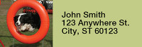 Agility Border Collies Rectangle Address Labels | LRRDOG-45