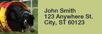 Agility Border Collies Rectangle Address Labels | LRRDOG-45
