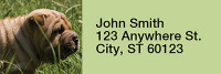 Shar Pei Rectangle Address Labels | LRRDOG-48