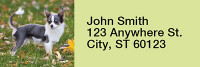 Charming Chihuahua Rectangle Address Labels | LRRDOG-51