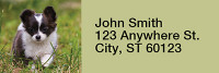 Charming Chihuahua Rectangle Address Labels | LRRDOG-51