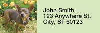 Charming Chihuahua Rectangle Address Labels | LRRDOG-51
