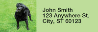 Brilliant Black Labs Rectangle Address Labels | LRRDOG-52