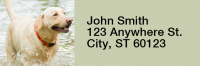 Majestic Yellow Lab Rectangle Address Labels | LRRDOG-56