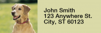 Majestic Yellow Lab Rectangle Address Labels | LRRDOG-56