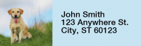 Majestic Yellow Lab Rectangle Address Labels | LRRDOG-56