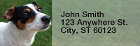 Mischievous Jack Russells Rectangle Address Labels | LRRDOG-58