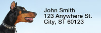 Dobermans Smile Rectangle Address Labels | LRRDOG-62