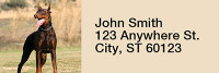 Dobermans Smile Rectangle Address Labels | LRRDOG-62