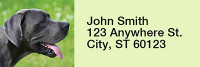 Gigantic Great Danes Rectangle Address Labels | LRRDOG-63