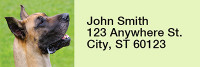 Gigantic Great Danes Rectangle Address Labels | LRRDOG-63