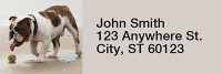 Romping English Bulldogs Rectangle Address Labels | LRRDOG-65