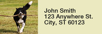 Bouncing Border Collie Rectangle Address Labels | LRRDOG-68