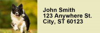 Bouncing Border Collie Rectangle Address Labels | LRRDOG-68