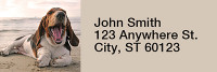 Basset Hound Rectangle Address Labels | LRRDOG-71