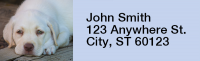 Yellow Lab Puppies Rectangle Address Labels | LRRDOG-72