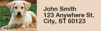 Yellow Lab Puppies Rectangle Address Labels | LRRDOG-72