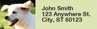 Yellow Lab Puppies Rectangle Address Labels | LRRDOG-72