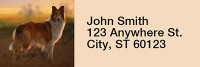 Collies Out and About Rectangle Address Labels | LRRDOG-76