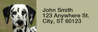 Snugly Schnauzer Rectangle Address Labels | LRRDOG-77