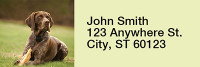 Grand German Shorthair Pointer Rectangle Address Labels | LRRDOG-78