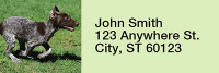 Grand German Shorthair Pointer Rectangle Address Labels | LRRDOG-78