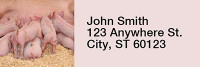 Pig Rectangle Address Labels | LRRJUR-05