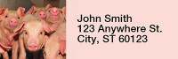 Pig Rectangle Address Labels | LRRJUR-05
