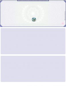 Blue Green Blank Hologram Premium Security Top Laser Checks