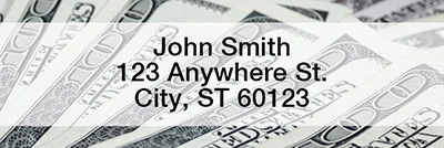 Money Narrow Address Labels | LRMON-01