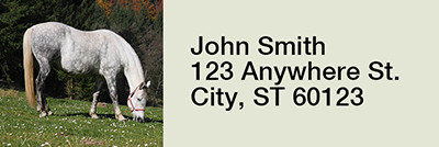 Grazing Freedom Rectangle Address Labels  | LRRANK-92