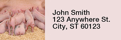 Pig Rectangle Address Labels | LRRJUR-05