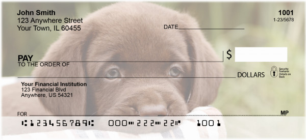 Chocolate Labradors Personal Checks | DOG-09