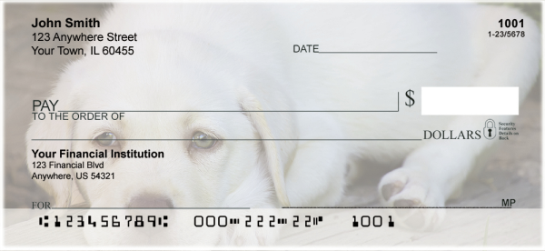 Yellow Lab Puppies Personal Checks