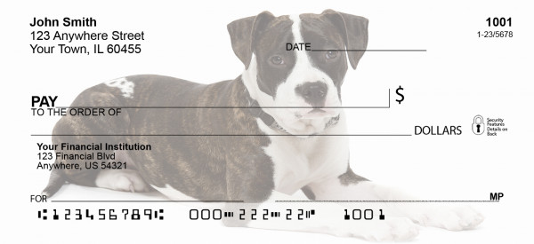 American Staffordshire Terrier Personal Checks | GCA-94
