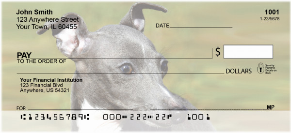 Italian Greyhound Personal Checks | GCB-44