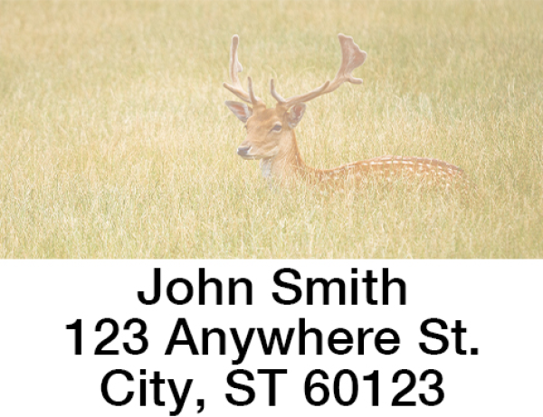 Deer in the Wild Address Labels  | LBANIC-55