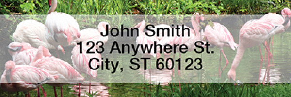 Flamingos Rectangle Address Labels | LRANI-24