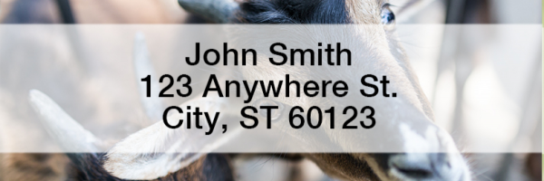 Goats Rectangle Address Labels