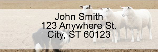 Border Collie at Work Rectangle Address Labels | LRDOG-46