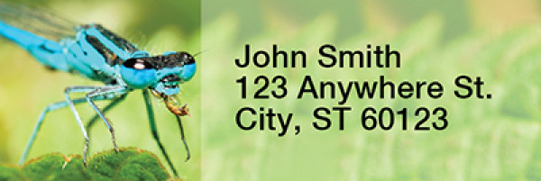 Dragonflies Rectangle Address Labels