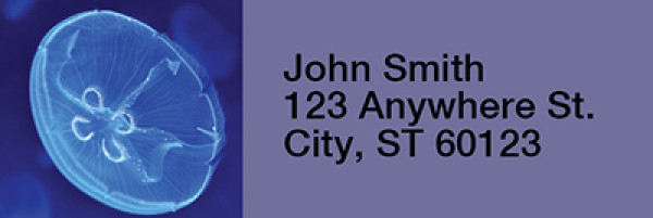 Jellyfish Rectangle Address Labels