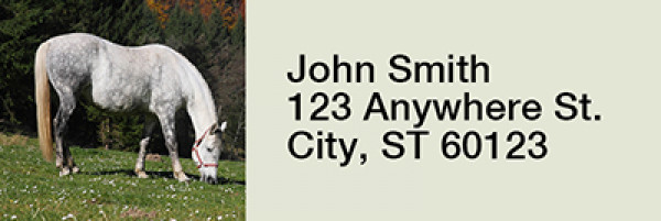 Grazing Freedom Rectangle Address Labels  | LRRANK-92