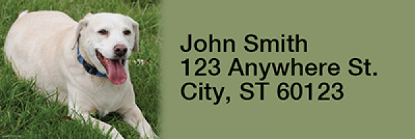Yellow Labradors Rectangle Address Labels