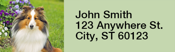 Shetland Sheepdog Narrow Address Labels