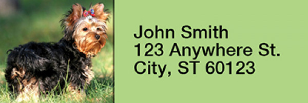 Yorkshire Terriers Rectangle Address Labels | LRRDOG-24