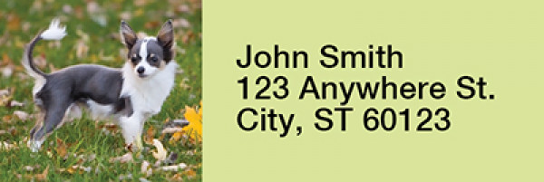 Charming Chihuahua Rectangle Address Labels | LRRDOG-51