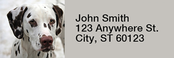 Dalmatians Rectangle Address Labels | LRRDOG-74