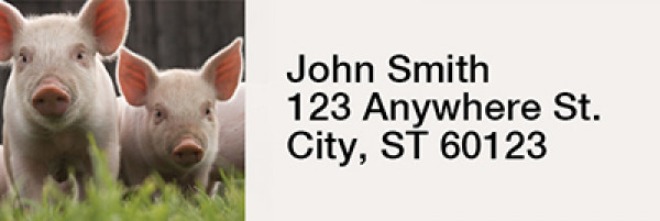 Pig Rectangle Address Labels