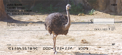 Ostriches Personal Checks